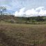  Land for sale in Los Santos, Santander, Los Santos