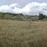  Land for sale in Los Santos, Santander, Los Santos