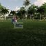  Land for sale in Dzidzantun, Yucatan, Dzidzantun