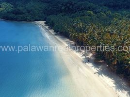  Land for sale in Puerto Princesa City, Mimaropa, Puerto Princesa City, Palawan, Mimaropa