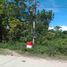  Land for sale in Lapu-Lapu City, Central Visayas, Lapu-Lapu City, Cebu