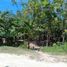  Land for sale in Lapu-Lapu City, Central Visayas, Lapu-Lapu City, Cebu