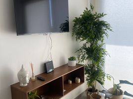 1 Bedroom Apartment for rent in Cozumel, Quintana Roo, Cozumel, Quintana Roo