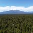 Terreno (Parcela) en venta en Los Lagos, Puerto Varas, Llanquihue, Los Lagos