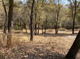  Terreno (Parcela) en venta en Puebla, Puebla, Puebla