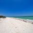  Land for sale in Celestun, Yucatan, Celestun