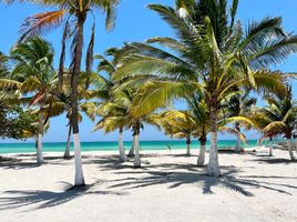  Land for sale in Celestun, Yucatan, Celestun