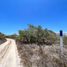 Land for sale in Celestun, Yucatan, Celestun