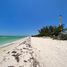  Land for sale in Celestun, Yucatan, Celestun