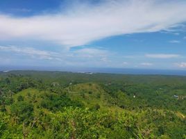  Land for sale in Danao City, Cebu, Danao City