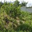  Terreno (Parcela) en venta en Tagaytay City, Calabarzon, Tagaytay City, Cavite, Calabarzon, Filipinas