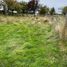 4 chambre Maison for sale in Ancud, Chiloe, Ancud
