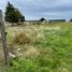 4 chambre Maison for sale in Ancud, Chiloe, Ancud