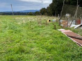 4 chambre Maison for sale in Ancud, Chiloe, Ancud