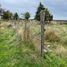 4 chambre Maison for sale in Ancud, Chiloe, Ancud