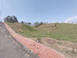  Terreno (Parcela) en venta en Cartago, Valle Del Cauca, Cartago