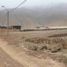  Grundstück zu verkaufen in Carabayllo, Lima, Carabayllo, Lima, Lima, Peru