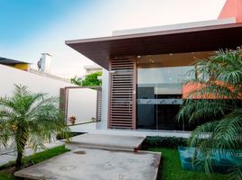 202 SqM Office for rent in Merida, Yucatan, Merida