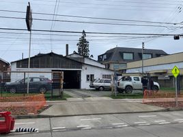  Land for sale in Mariquina, Valdivia, Mariquina