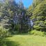  Terreno (Parcela) en venta en Chile, Villarrica, Cautín, Araucanía, Chile