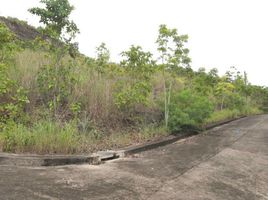  Terreno (Parcela) en venta en Consolacion, Central Visayas, Consolacion, Cebu