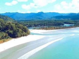  토지을(를) San Vicente, 팔라완에서 판매합니다., San Vicente