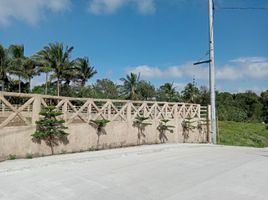  Terreno (Parcela) en venta en Alfonso, Calabarzon, Alfonso