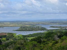  Terreno (Parcela) en venta en La Chorrera, Panamá Oeste, Mendoza, La Chorrera