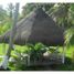 4 chambre Maison for rent in Veracruz, Tamiahua, Veracruz