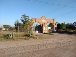 Terreno (Parcela) en venta en Silao, Guanajuato, Silao, Guanajuato