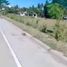  Terreno (Parcela) en venta en Panglao, Central Visayas, Panglao, Bohol, Central Visayas, Filipinas