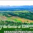  Land for sale in Manolo Fortich, Northern Mindanao, Manolo Fortich, Bukidnon