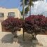 4 Bedroom Villa for sale in Ciudad Guzman, Jalisco, Ciudad Guzman