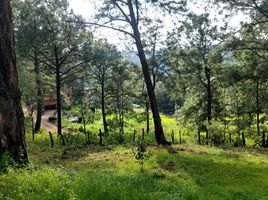  Terreno (Parcela) en venta en Mazamitla, Jalisco, Mazamitla