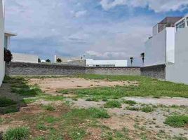  Terreno (Parcela) en venta en San Agustin Tlaxiaca, Hidalgo, San Agustin Tlaxiaca