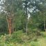  Terreno (Parcela) en venta en Ranco, Los Ríos, Lago Ranco, Ranco