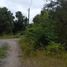  Terreno (Parcela) en venta en Ranco, Los Ríos, Lago Ranco, Ranco