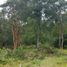  Terreno (Parcela) en venta en Ranco, Los Ríos, Lago Ranco, Ranco