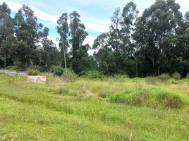  Land for sale in Ruminahui, Pichincha, Sangolqui, Ruminahui