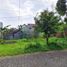  Terrain for sale in Singosari, Malang Regency, Singosari
