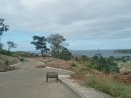  Land for sale in Nasugbu, Batangas, Nasugbu