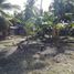  Land for sale in Oslob, Cebu, Oslob