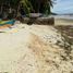  Land for sale in Cebu Central Visayas, Oslob