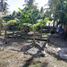  Land for sale in Oslob, Cebu, Oslob