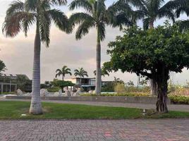  Land for sale in Samborondon, Guayas, Samborondon, Samborondon