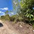  Land for sale in Tixkokob, Yucatan, Tixkokob