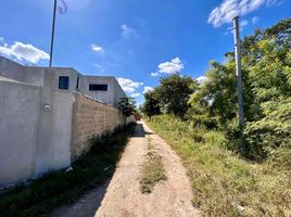  Land for sale in Tixkokob, Yucatan, Tixkokob