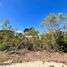  Land for sale in Tixkokob, Yucatan, Tixkokob