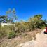  Land for sale in Tixkokob, Yucatan, Tixkokob