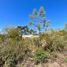  Land for sale in Tixkokob, Yucatan, Tixkokob